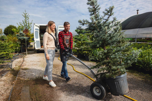 Best Tree and Shrub Care  in USA